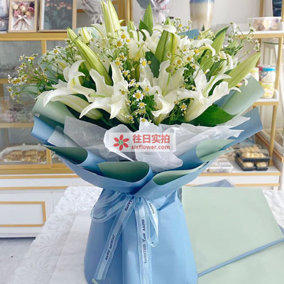 衡水8支白色多头百合洋甘菊，互倾的思念