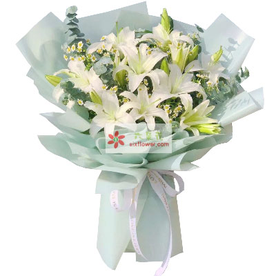 衡水6支白色多头百合，温馨的祝福