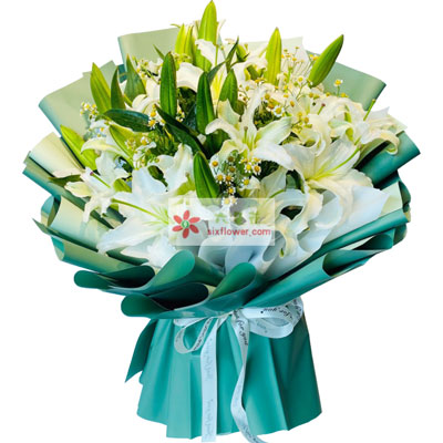 衡水8支白色多头百合洋甘菊，如潮的思念